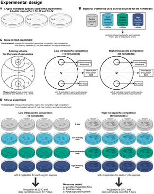 Resource diversity mitigates the effects of intraspecific competition in co-occurring cryptic nematode species